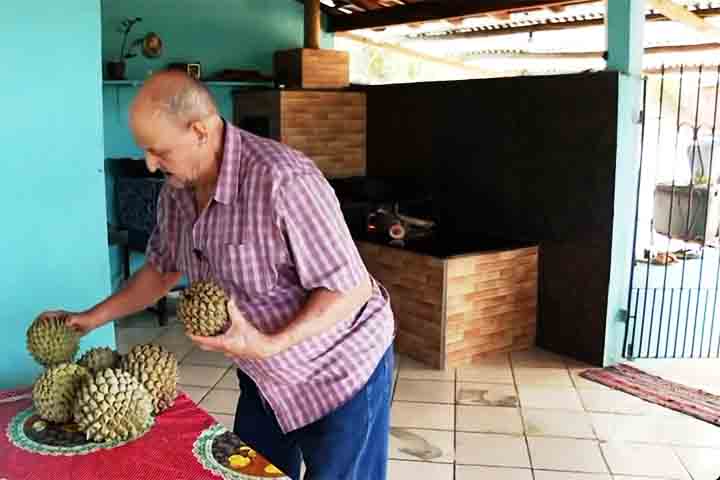 Este cenÃ¡rio Ã© resultado da escassa informaÃ§Ã£o sobre seus usos potenciais e qualidade dos alimentos processados obtidos a partir dele. Por isso, esse produto necessita ser melhor explorado pela indÃºstria.