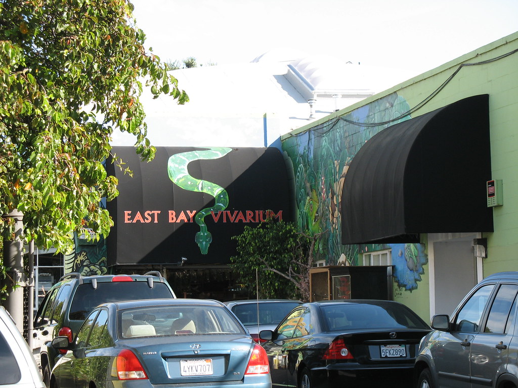 O East Bay Vivarium, fundado em Berkeley, Califórnia, é um dos estabelecimentos mais antigos dos EUA dedicados exclusivamente a répteis. Funciona como loja, centro educativo e espaço de convivência com animais exóticos. É um ponto de referência na herpetocultura