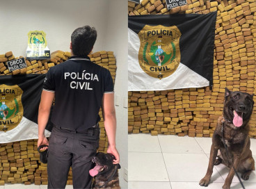 Foram apreendidas 2,5 toneladas de maconha em Pindoretama, no Ceará 