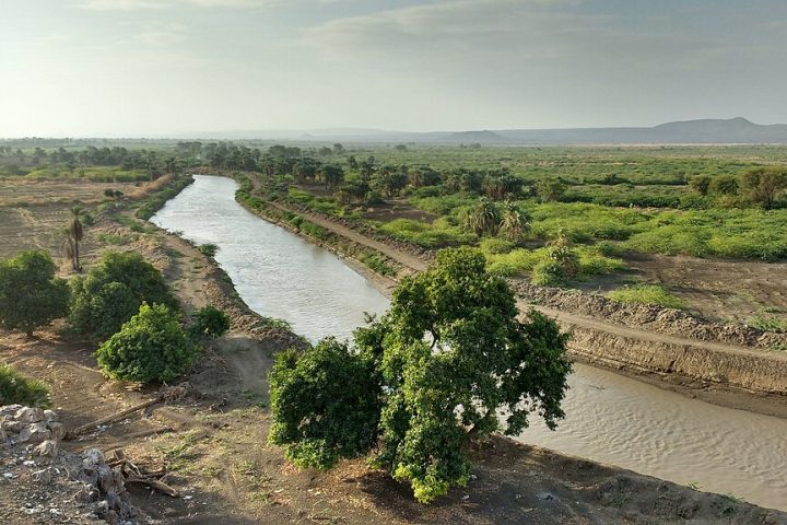 Do ponto de vista paleoantropológico, a região tem extrema importância: fósseis de hominídeos muito antigos (como a famosa Lucy) foram encontrados no Vale inferior do rio Awash.
