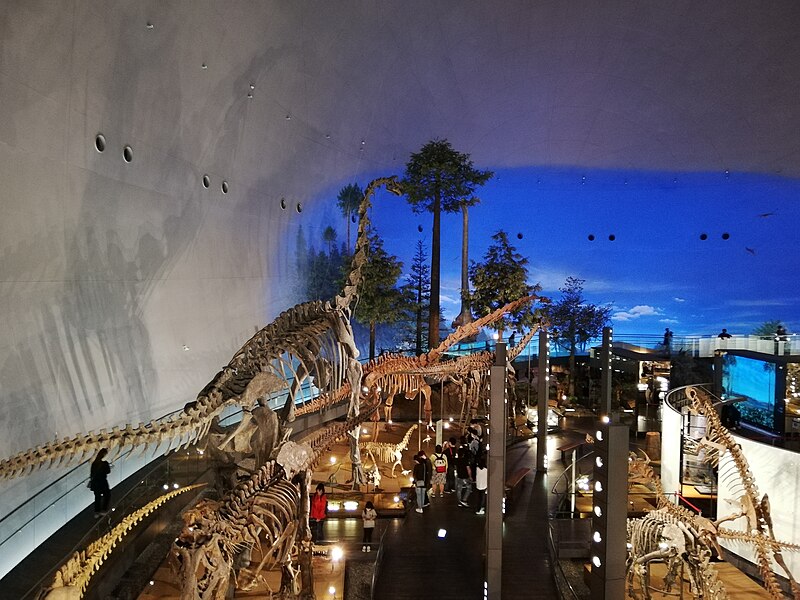 Com quatro andares, o Museu dos Dinossauros possui réplicas e fósseis dos antigos habitantes da Terra e setores interativos. 
