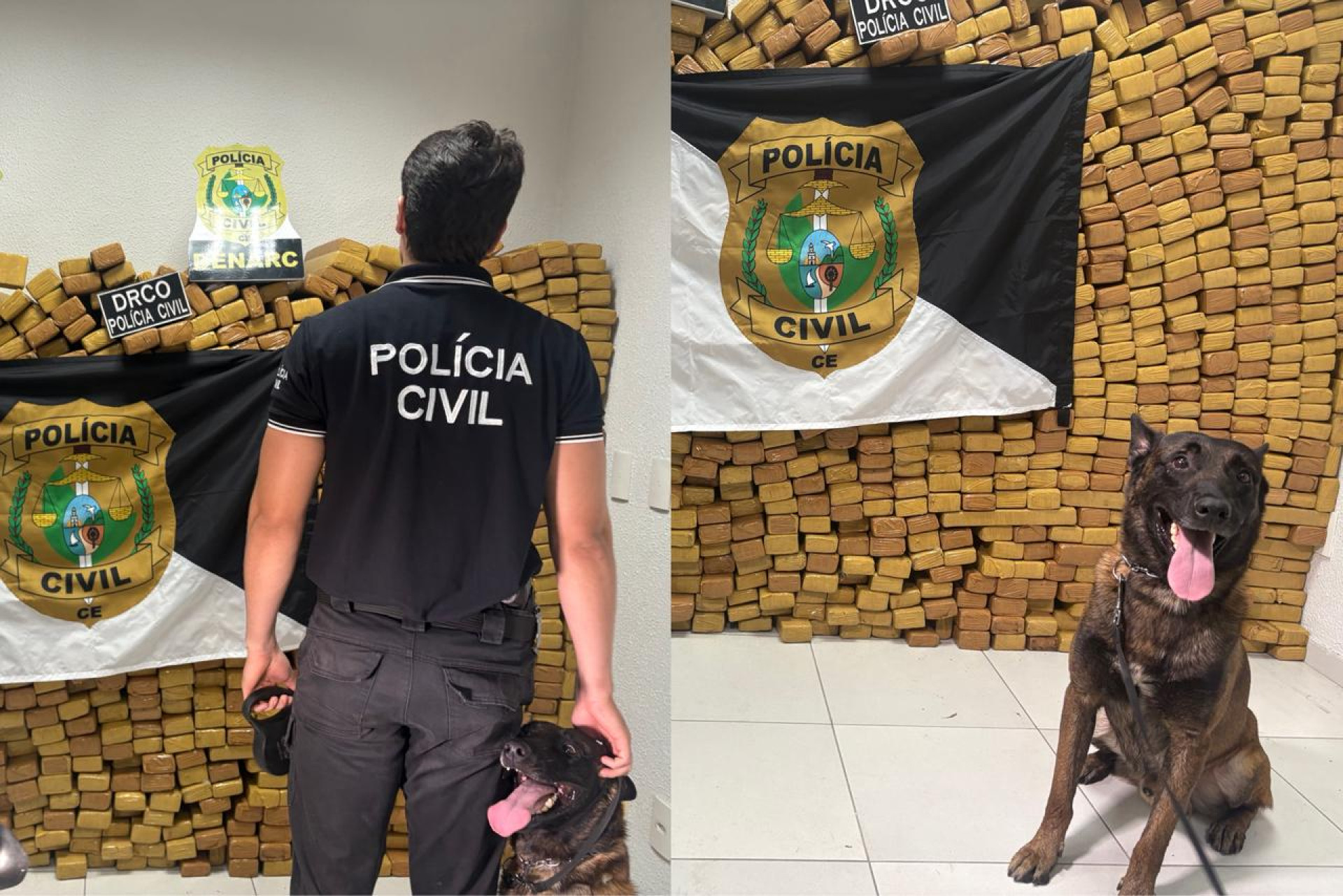 Foram apreendidas 2,5 toneladas de maconha em Pindoretama, no Ceará (Foto: Mirla Nobre)