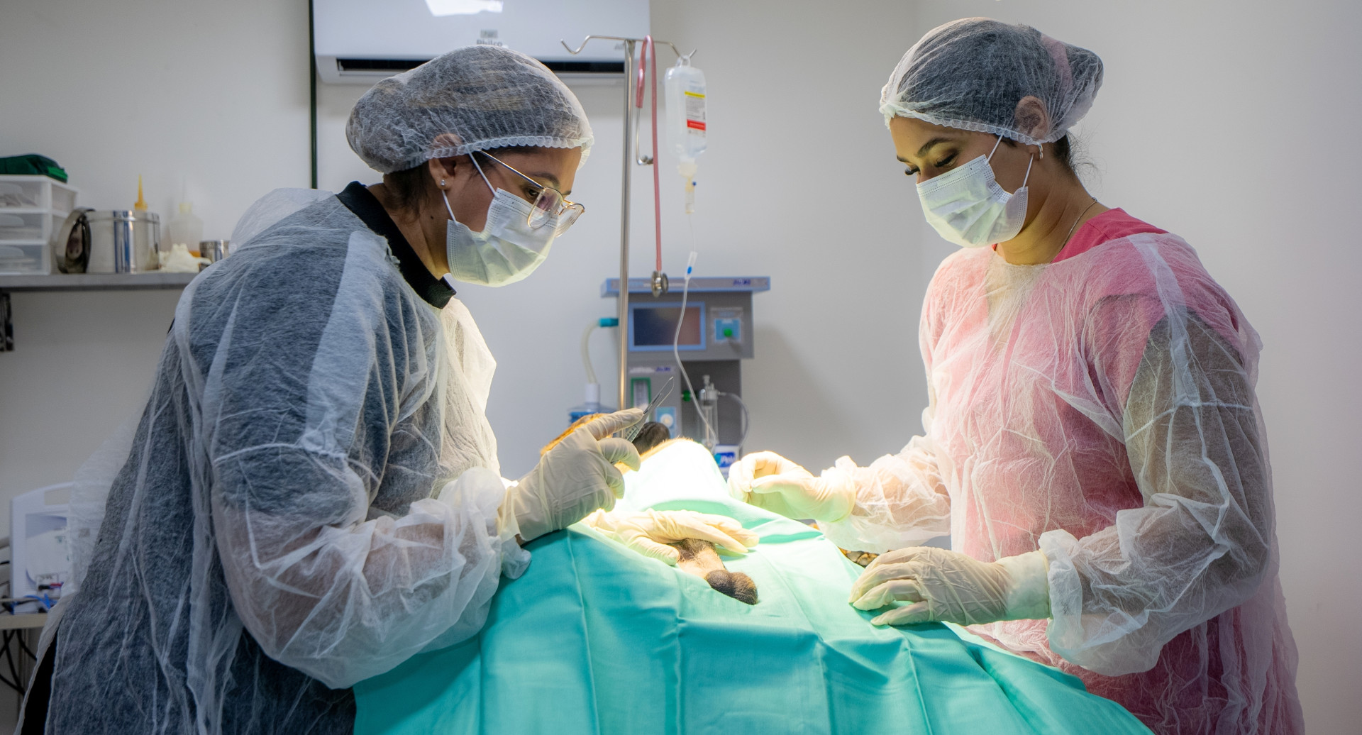 São oferecidas consultas, vacinação, exames, diagnósticos, cirurgias, semi-internação, atendimento de emergência e serviços complementares