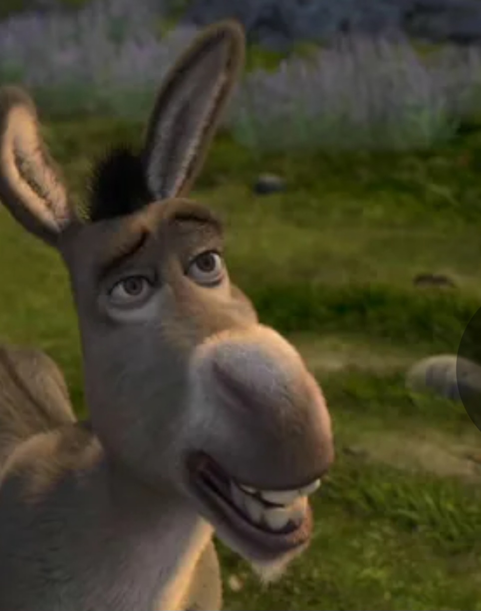 Inclusive, o personagem chamado de Burro na franquia Shrek  não pode ser burro já que teve filhotes com a Dragão fêmea. Os burros são estéreis. Donkey deve ser jumento...