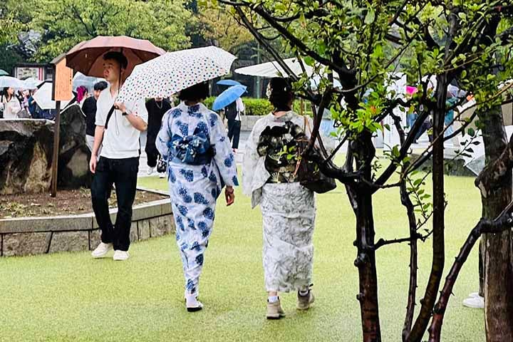 A cultura japonesa atrai curiosos durante o ano todo, com peculiaridades que se diferem do que se pode ver no ocidente. Uma delas é o uso dos guarda-chuvas mesmo em dias que a tempestade está longe de chegar. No entanto, engana-se quem pensa que é apenas para proteção contra o sol.
