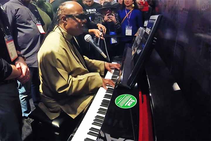 Stevie Wonder — Gênio do soul e do pop, é pianista virtuoso desde a infância, unindo técnica, improviso e forte musicalidade. Sua mistura de piano, voz e arranjos eletrônicos redefiniu a Motown e influenciou gerações.