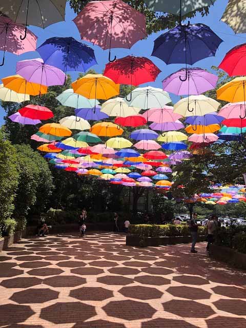 A partir do século XII, seu uso se espalhou para o povo comum do Japão. Por outro lado, a dimensão espiritual permaneceu, sendo que o guarda-chuva coexistiu com sua função prática, assim como um sinal de proteção, status e conexão com o sagrado.