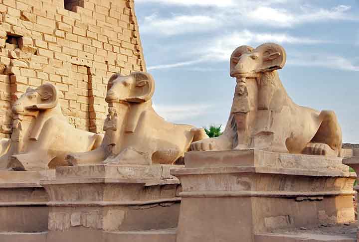 Responsável por formar os deuses como homens e mulheres, Knum era retratado por um homem com cabeça de carneiro. Fato que torna o animal simbólico. 