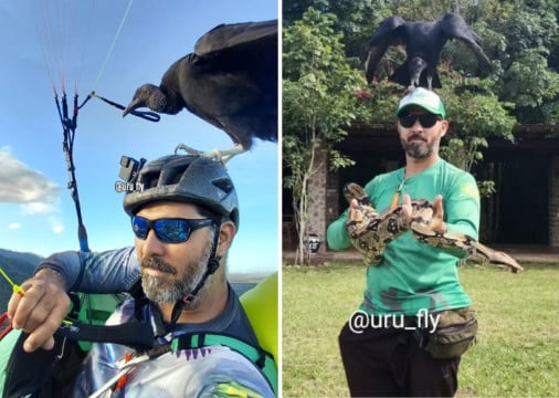 ISRAEL ficou conhecido nas redes sociais por causa da amizade com um urubu
