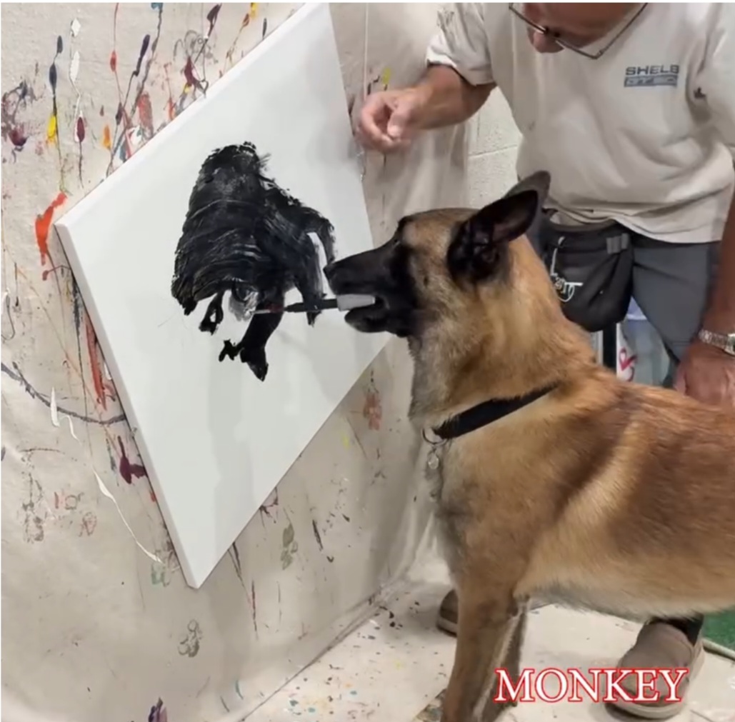 Cada obra leva cerca de uma hora e meia para ser feita.  Os quadros de Monkey sao vendidos entre US$ 1.500 e US$ 2.000. O cão assina botando a pata no canto da tela.