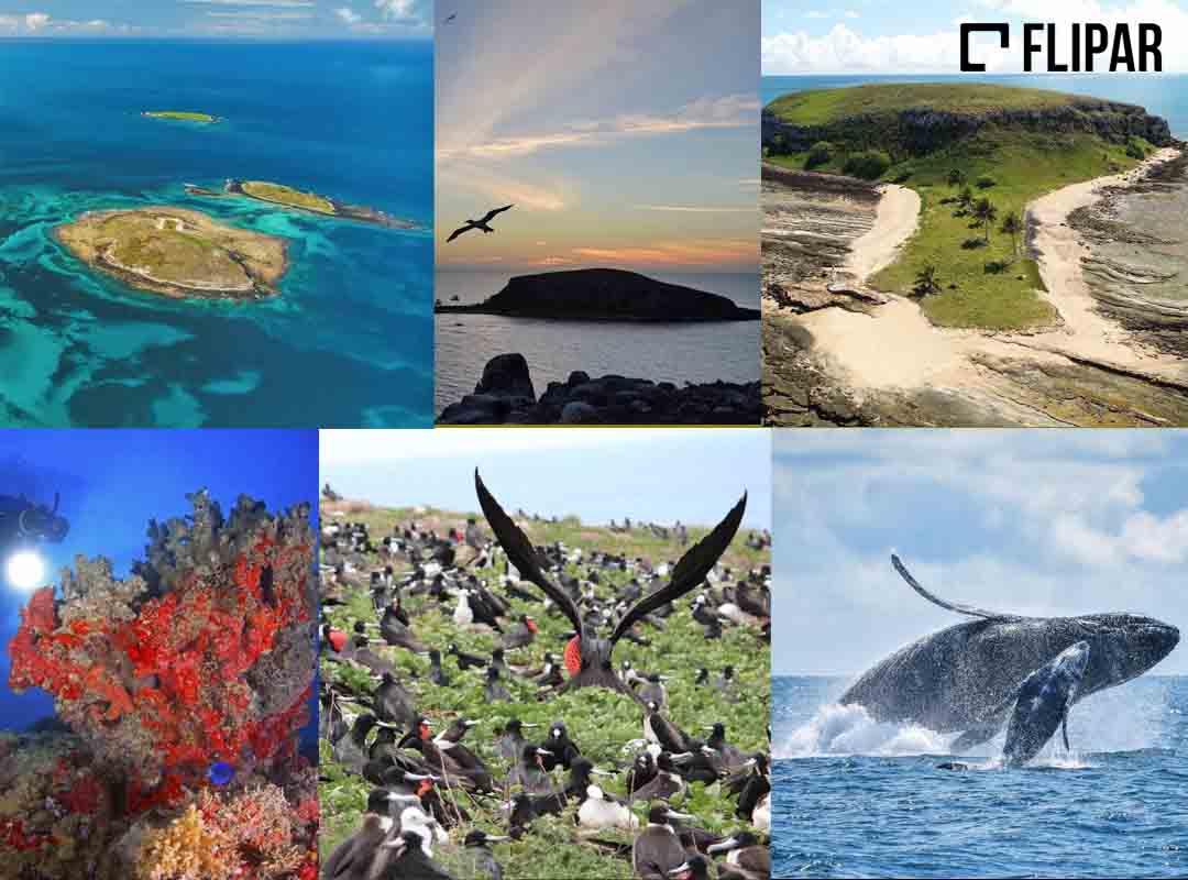 Parque Nacional Marinho dos Abrolhos, Bahia: Com uma área de cerca de 91,3 mil hectares, essa é considerada a primeira unidade de conservação marinha do Brasil. O grande destaque de Marinho dos Abrolhos são os seus recifes de corais, considerados os mais importantes do Atlântico Sul e os únicos do Brasil. 