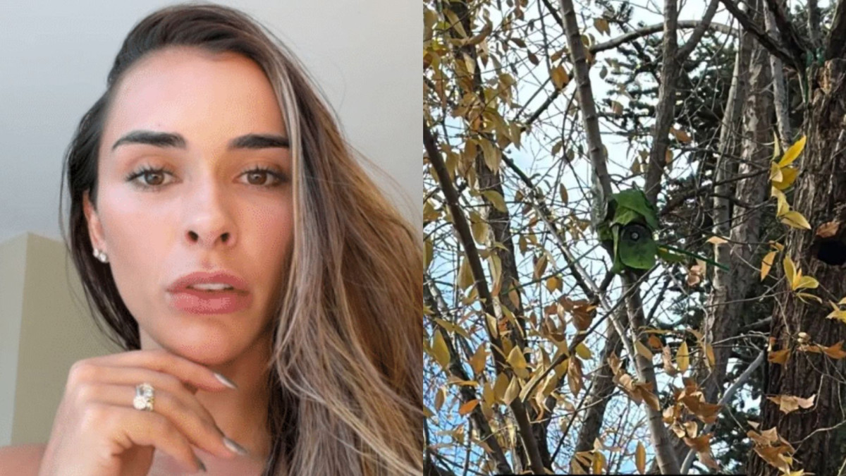 A influenciadora Tainá Militão revelou ter encontrado uma câmera camuflada apontada para sua casa em Madrid após ser alertada por um vizinho que caminhava pelo local