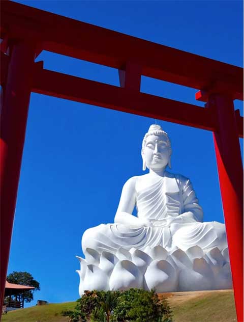 Com as trilhas, os visitantes desfrutam de mirantes naturais e cachoeiras e momentos de lazer. Assim, em  alguns pontos mais altos, é possível avistar o mar e a extensão da Mata Atlântica.