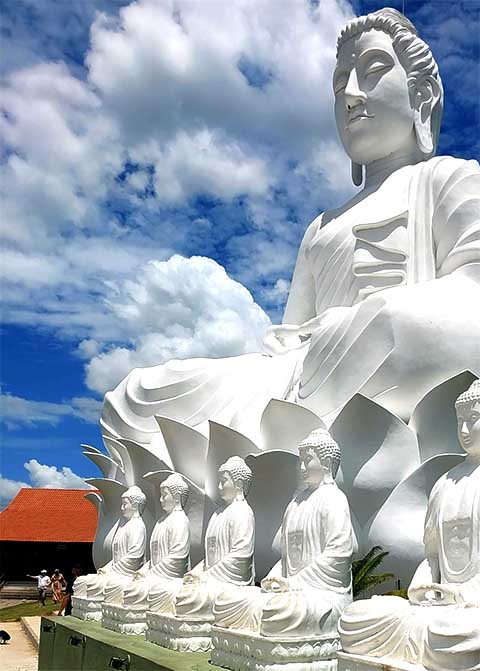 Por lá, existe o Santuário Diocesano de Nossa Senhora da Saúde, um local religioso importante para a comunidade local. 