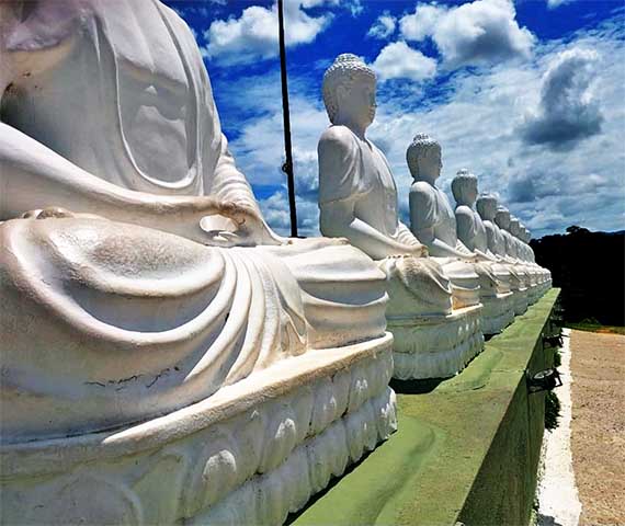 Em 1891, a localidade foi emancipada e recebeu o nome de Vila Guaraná. Em 1943, passou a se chamar Ibiraçu, em referência à grande árvore que existia na região. 