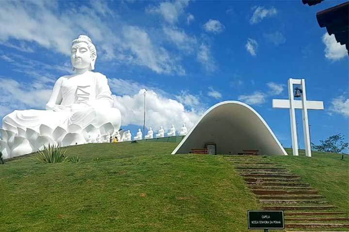 Os imigrantes foram responsáveis pelo desenvolvimento da produção agrícola, especialmente do café, impulsionando a economia local. 