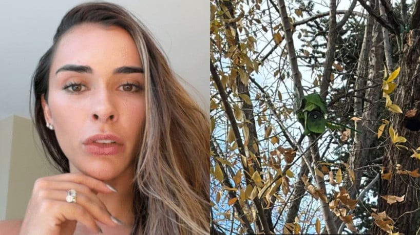 A influenciadora Tainá Militão revelou ter encontrado uma câmera camuflada apontada para sua casa em Madrid após ser alertada por um vizinho que caminhava pelo local 