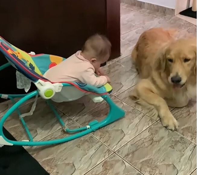 Ariane compartilhou o registro no TikTok em 20 de abril de 2025, no perfil @arianeoliveira_mua. O vídeo viralizou, alcançando mais de 527 mil visualizações e milhares de comentários. A cena reforça como a convivência entre bebês e pets pode ser segura, especial e cheia de amor.