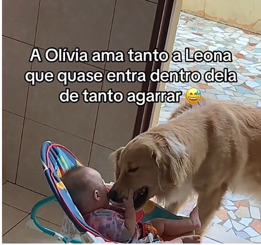 Em um dos episódios mais fofos, Ariane deixou Olívia na cozinha e pediu que Leona a distraísse. A cachorra se aproximou com delicadeza, oferecendo lambidas e brincadeiras para entreter a bebê. O flagra emocionou Ariane, reforçando sua decisão de permitir que filha e pet cresçam juntas.