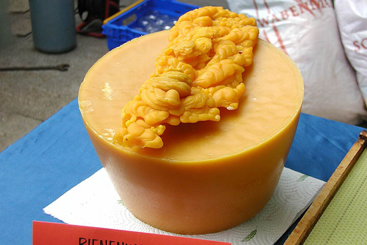 De textura firme, aroma suave e coloração que varia do amarelo-claro ao âmbar, a cera sempre chamou atenção por suas propriedades físicas singulares, o que permitiu seu uso em atividades que vão da arte à tecnologia moderna. 
