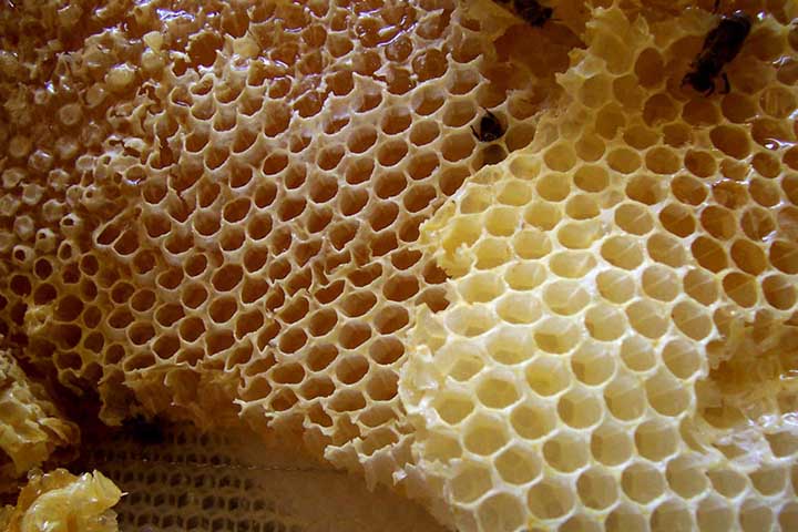 Na indústria moderna, novos usos vêm sendo desenvolvidos com o avanço tecnológico. A cera é empregada na formulação de lubrificantes ecológicos, revestimentos têxteis, impermeabilizantes naturais e até em algumas tecnologias de impressão. 
