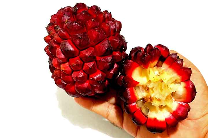 O fruto é globoso e coberto por protuberâncias, que se tornam vermelho-vináceas quando maduras  .
Internamente, cada carpelo contém sementes envoltas por polpa carnosa e saborosa  .