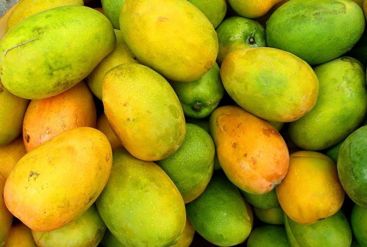 A Tommy Atkins, Palmer e a Rosa são alguns dos principais tipos de manga produzidos no Brasil.  