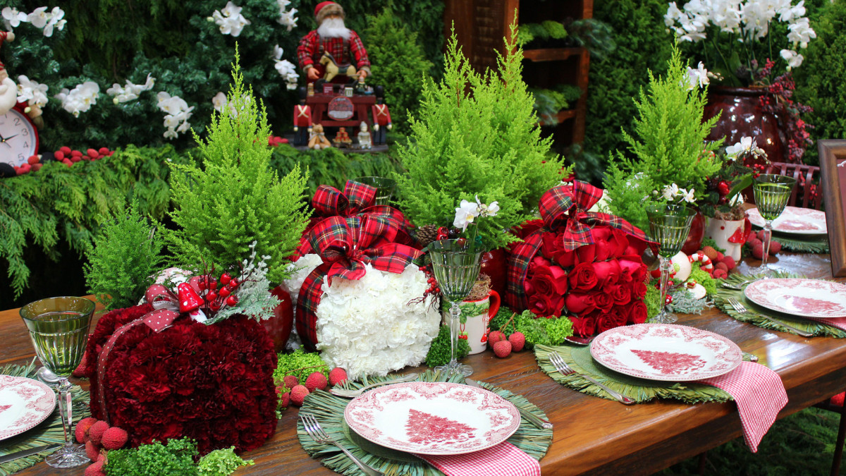 Plantas que se tornaram símbolos da decoração natalina, tais como as tuias, estão entre os destaques do mercado floricultor 