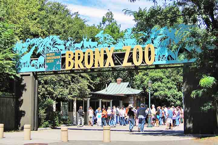Além de seu impacto cultural, o Bronx abriga importantes instituições e atrações turísticas. O Zoológico do Bronx, um dos maiores zoológicos urbanos do mundo, é um dos grandes orgulhos locais, oferecendo uma impressionante variedade de espécies e programas de conservação reconhecidos internacionalmente. 
