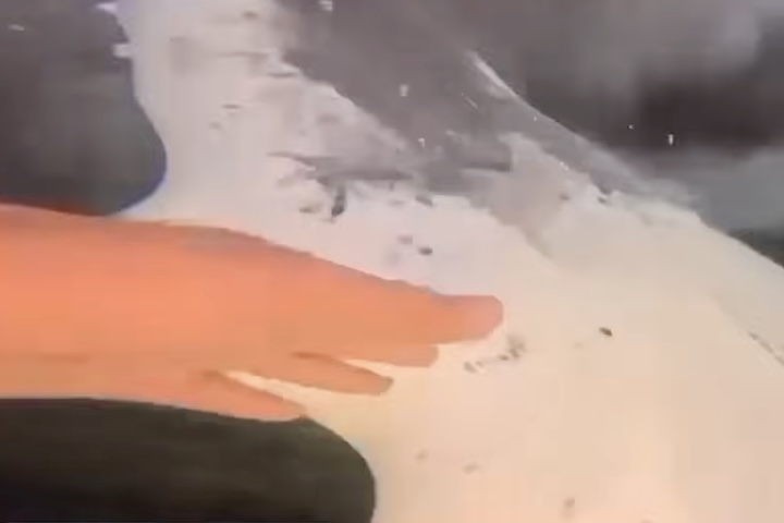 O brasileiro descreveu a experiência como maravilhosa, destacando a intensidade de estar em contato com a natureza selvagem sem gaiolas ou barreiras. 