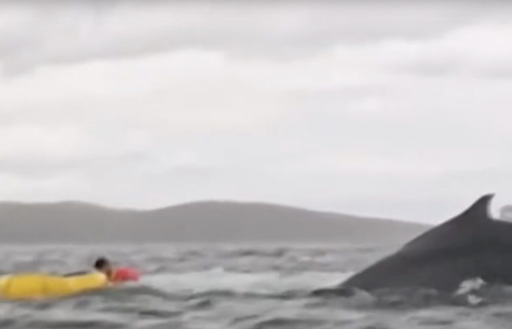 Eu me virei e senti como se algo estivesse roçando meu rosto, é como uma cor entre azul e branco e vejo que está vindo de cima e de ambos os lados e está me afundando, relatou o jovem. 