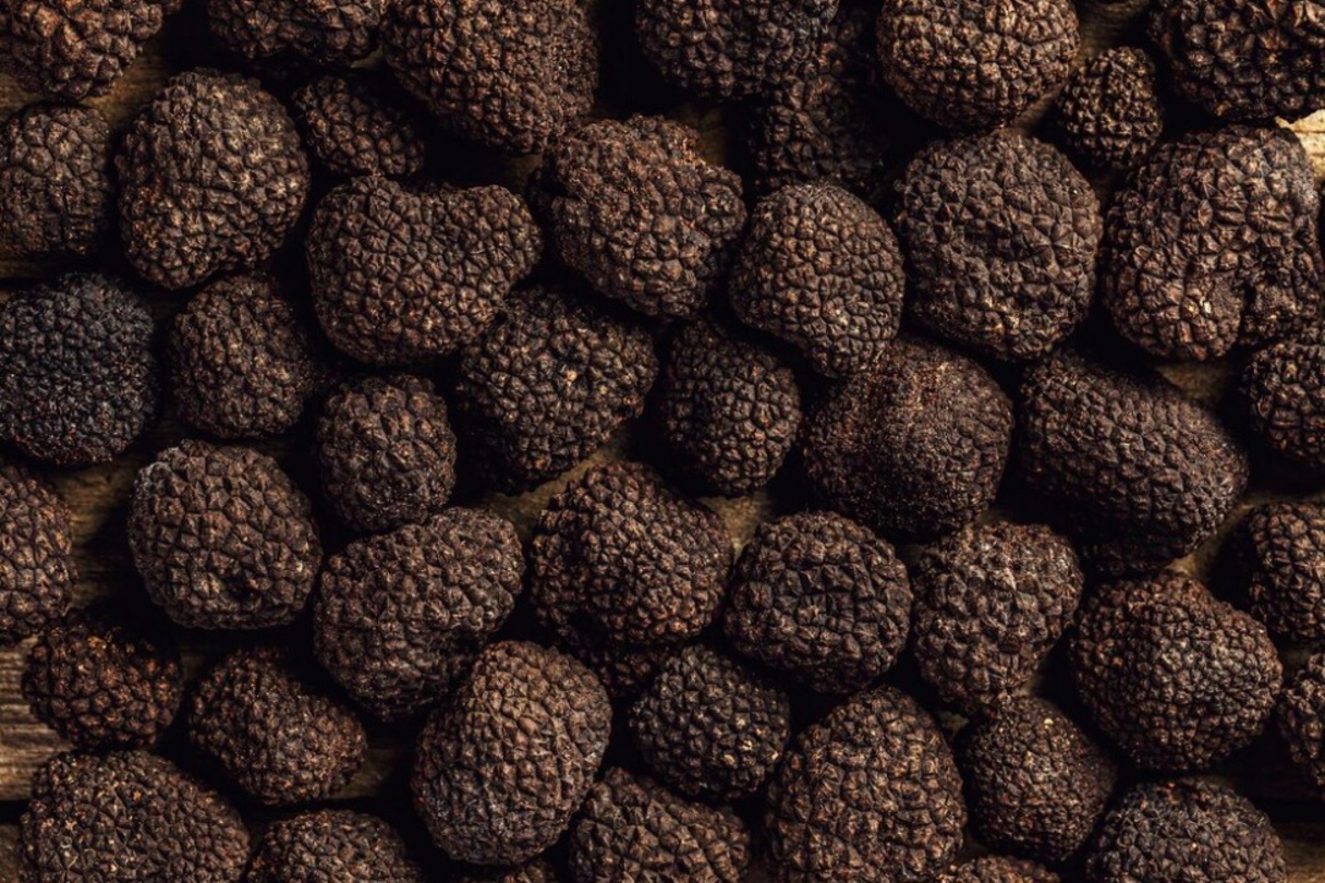 A palavra ‘trufa’ vem do latim truffle, termo que identifica um tipo de cogumelo comestível que cresce embaixo da terra em alguns países da Europa, como Itália e França.
