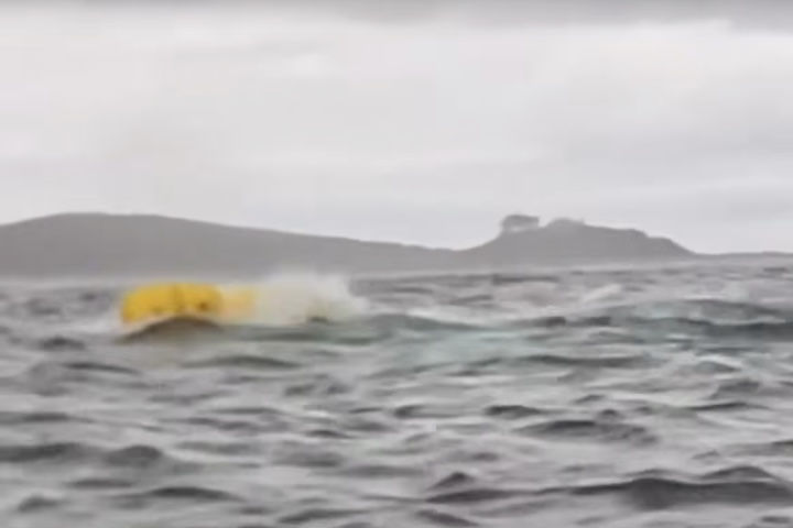 Adrián afirmou que pensou ter sido comido por alguma coisa, já que ele e o pais tinham conversado sobre a chance de haver  orcas naquela área e que elas são mais agressivas. 