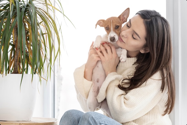 Animais permitem viver o cuidado e o afeto sem as grandes responsabilidades da maternidade ou paternidade — além de custarem menos.