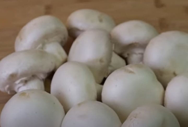 Mesmo nos EUA, a primeira permissão só se deu em março de 2023. Na ocasião, liberaram um extrato de cogumelo originário da Filadélfia, feito organicamente a partir do chamado “tipo Paris”.