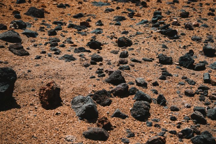 De acordo com o planetólogo Ely Cheikh Mouhamed Navee, o primeiro do país, muitos nômades dependem apenas da própria experiência ou enviam amostras para cientistas estrangeiros. 