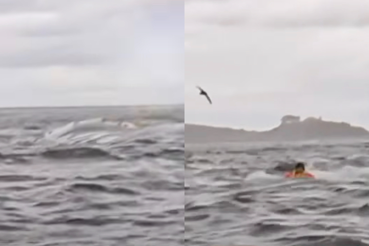 Em imagens captadas pelo pai, a baleia emerge e engole Adrián, mas ele reaparece poucos segundos depois.