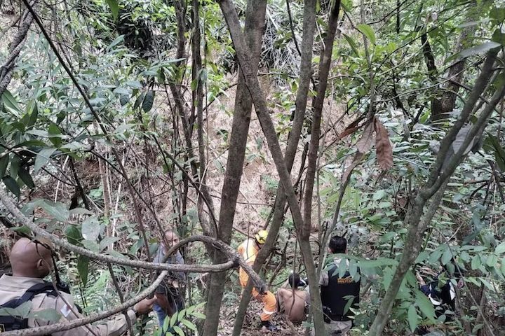 Ele caiu no local no dia 22 de novembro e permaneceu ali até a tarde de 26/11, quando finalmente foi socorrido pelo Corpo de Bombeiros.