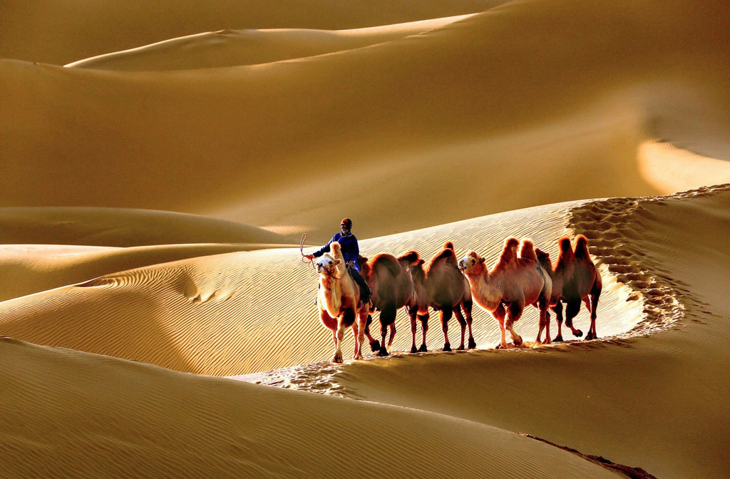 Ambas as Mongólias estão localizadas na Ásia, mas em contextos diferentes. Enquanto a Independente situa-se entre Rússia e China, enquanto aInterior ocupa uma vasta área dentro do território chinês. Essa geografia influencia suas relações políticas e econômicas.
