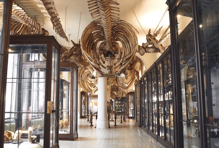 Esta é considerada uma das descobertas mais importantes do país em 2025, fruto de uma colaboração entre o Conselho do Condado de Vestland e o Museu Universitário de Bergen.