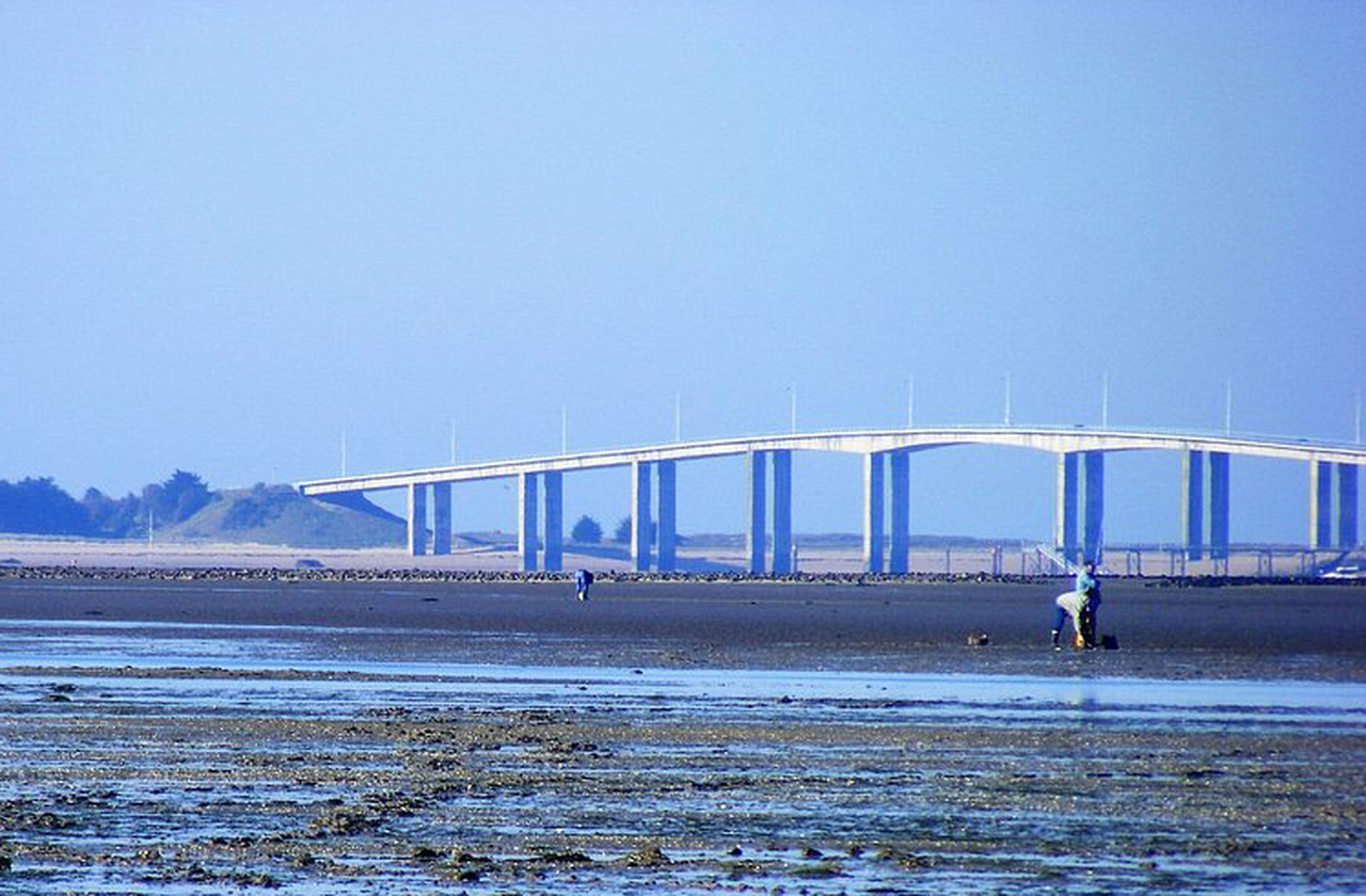 A construção de pontes modernas reduziu a dependência da passagem. Hoje, há alternativas seguras para chegar à ilha. No entanto, o Gois continua sendo símbolo cultural e turístico, preservado como patrimônio vivo.