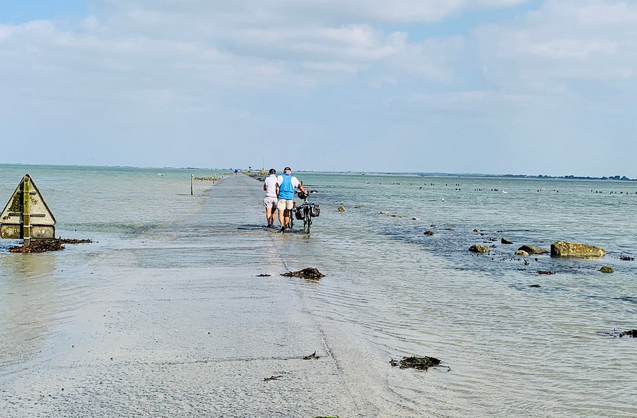A Passagem do Gois é mais do que uma estrada: é um espetáculo natural, um patrimônio histórico e uma aventura inesquecível. Ela ensina sobre respeito às forças da natureza e sobre a beleza da vida efêmera. Quem a atravessa guarda para sempre a lembrança de caminhar sobre o mar.