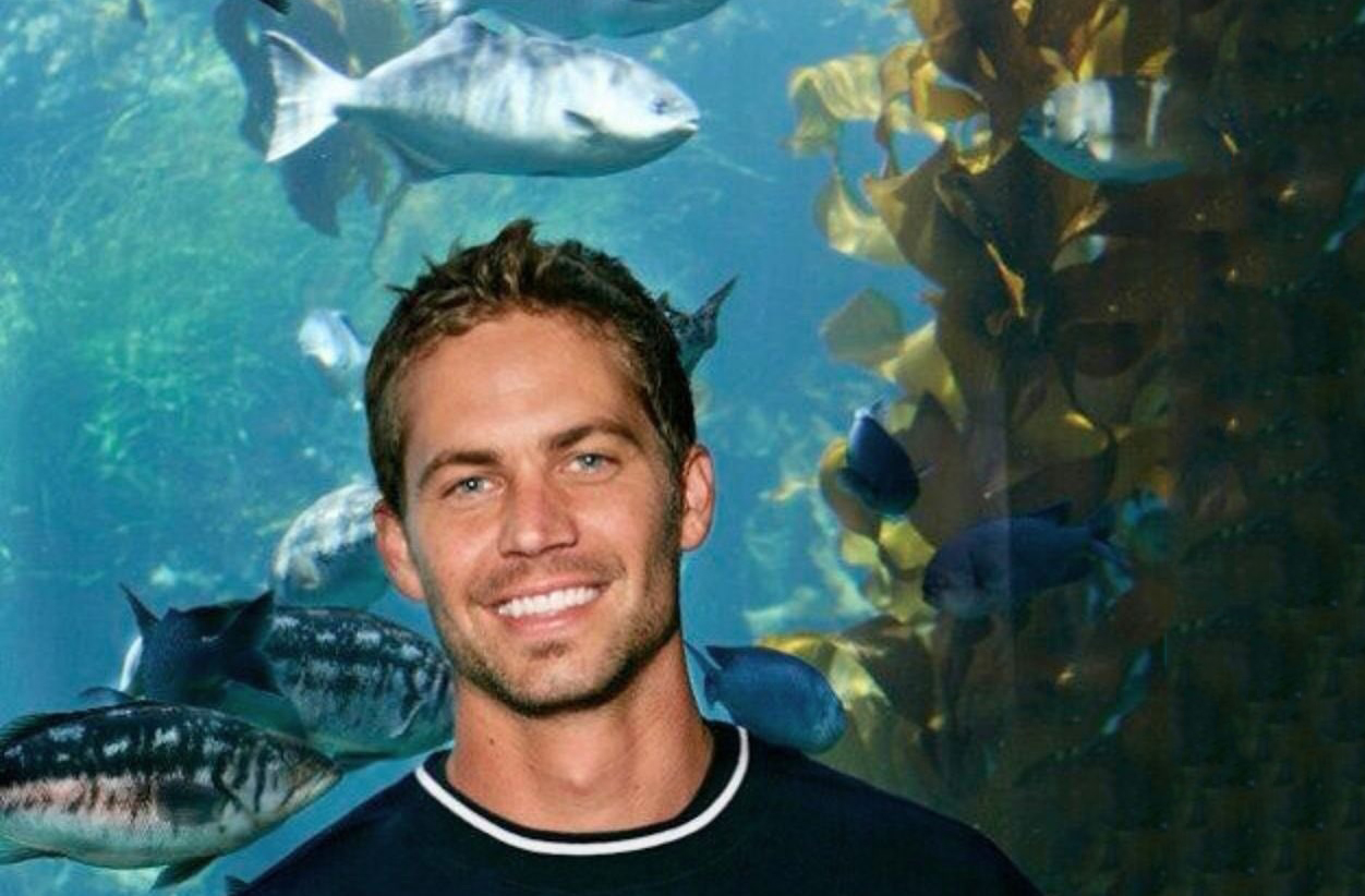 Paul era apaixonado por biologia marinha. Estudou na Universidade da Califórnia e se formou na área, inspirado por Jacques Cousteau. Participou de expedições científicas e colaborou com a National Geographic.