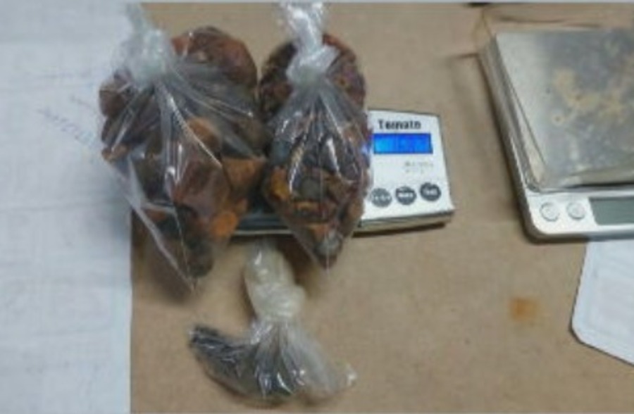 1 grama vale em torno de R$ 1 mil.  Então, em média, 15 mil reais por dia. No fim do mês, apenas nos dias úteis, o dono do gado consegue algo na faixa de R$ 300 mil.