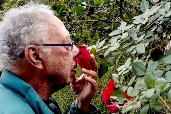 Entre suas composições mais emblemáticas estão clássicos como “Vapor Barato”, “Anjo Exterminado”, “Mal Secreto”, “Movimento dos Barcos”, “Rua Real Grandeza” e “Hotel das Estrelas”. 
