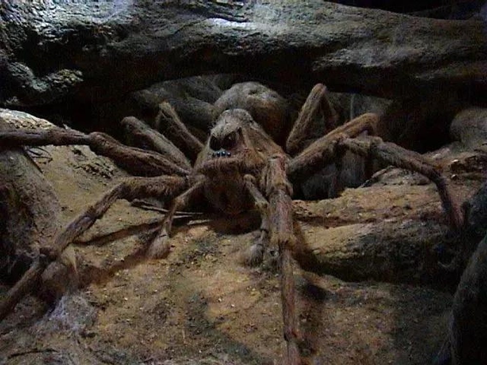 Aragogue – Acromântula gigante criada por Hagrid. Apesar de fiel a ele, sua colônia de aranhas é hostil a humanos, o que causa um momento de grande perigo para Harry e Ron.