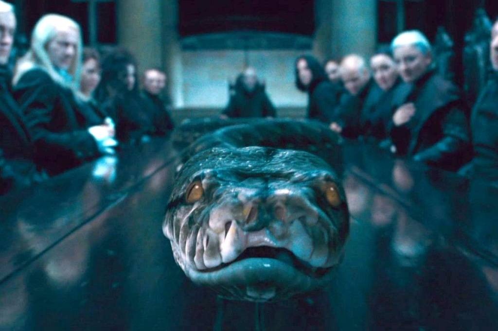 Nagini – Serpente de Voldemort e uma de suas Horcruxes. Mortal e traiçoeira, é responsável pela morte de Severo Snape.

