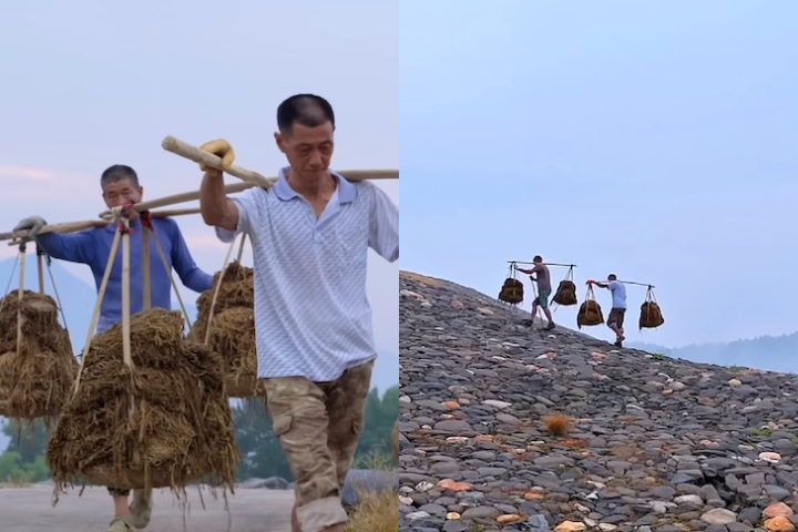 Cada caldeirão é capaz de comportar até cerca de 5 mil quilos de palha por vez. Depois de fervido, o material é carregado em cestos de 50 quilos montanha acima. 