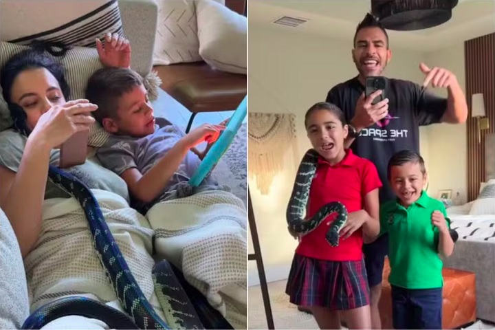 Esse foi o pontapé inicial para uma coleção que, em seu auge, chegou a ter mais de 300 animais, incluindo até um jacaré!