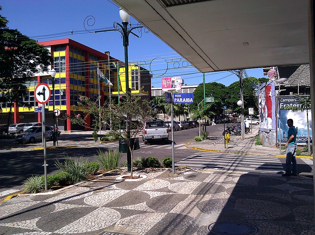 Nas últimas semanas, moradores da cidade de Paranavaí, no Paraná, têm relatado avistamentos de araras vermelhas voando entre árvores e pousando em telhados. As aves chamam atenção pelo colorido exuberante e pelos sons altos que emitem.
